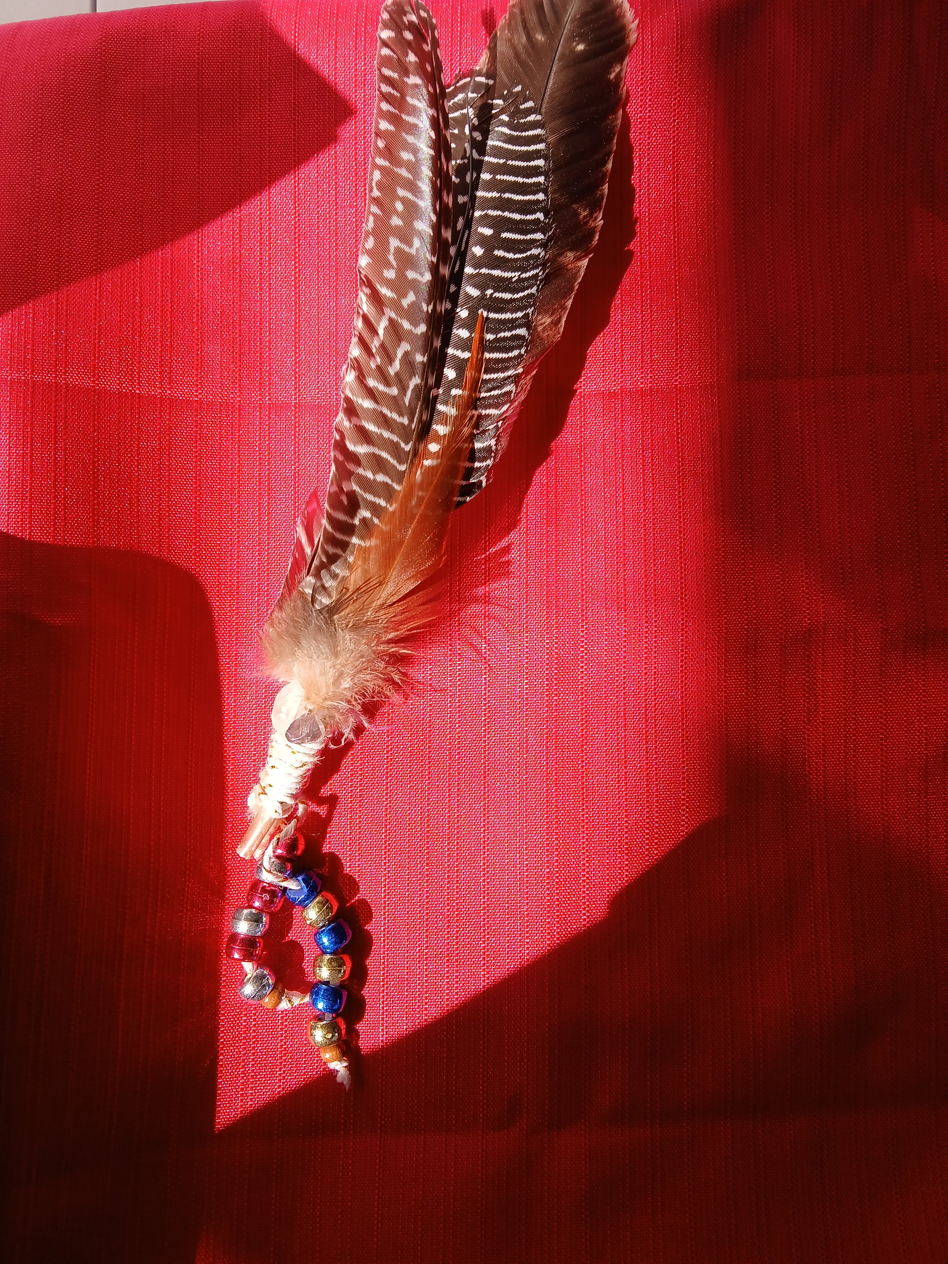 Feather Smudge Fans